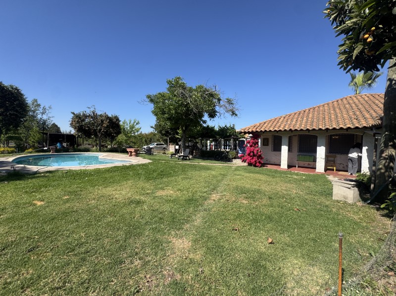 LA APARICION... LA APARICION...