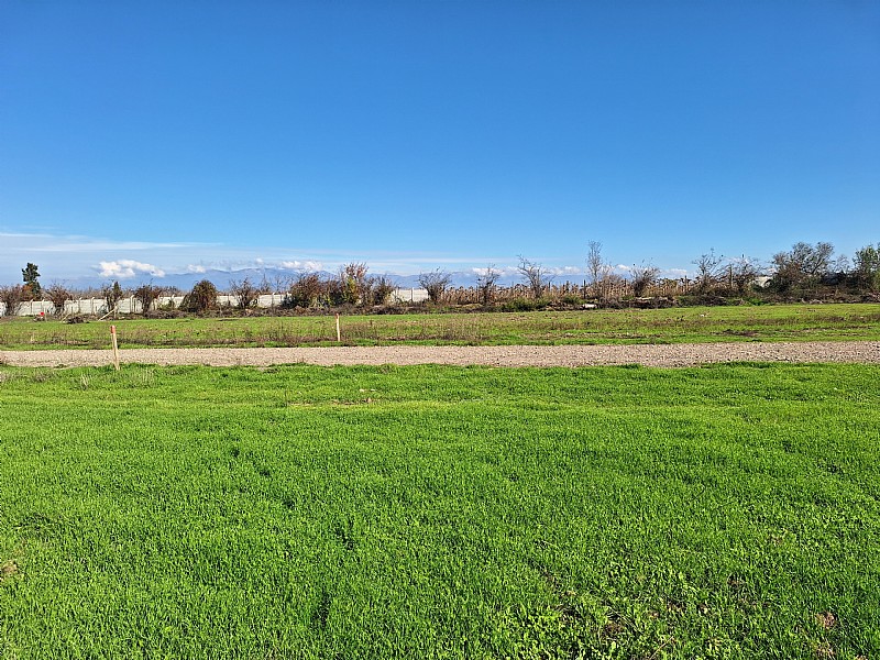 LOS NOGALES...&nbsp; &nbsp; &nbsp; &nbsp; &nbsp; &nbsp; &nbsp; &nbsp; &nbsp; &nbsp; &nbsp; &nbsp; &nbsp; &nbsp; &nbsp; &nbsp; &nbsp; &nbsp; &nbsp; &nbsp; &nbsp; &nbsp; &nbsp; &nbsp; &nbsp; &nbsp; &nbsp; &nbsp; &nbsp; &nbsp; &nbsp; &nbsp; &nbsp; &nbsp; &nbsp; &nbsp; &nbsp; &nbsp; &nbsp; 